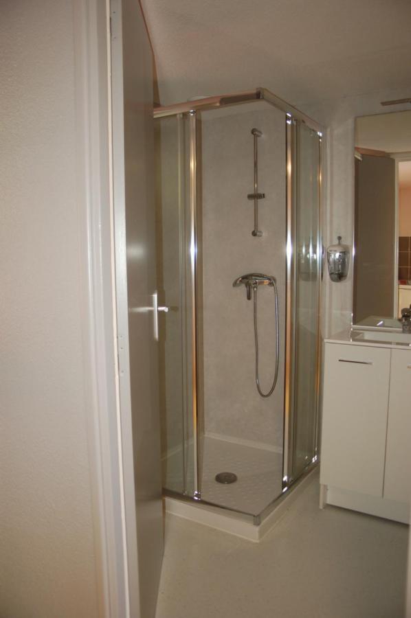 Gite Du Haut Cantal - Appartements Meubles Avec Kitchenette Et Chambres Sans Kitchenette Condat  Dış mekan fotoğraf