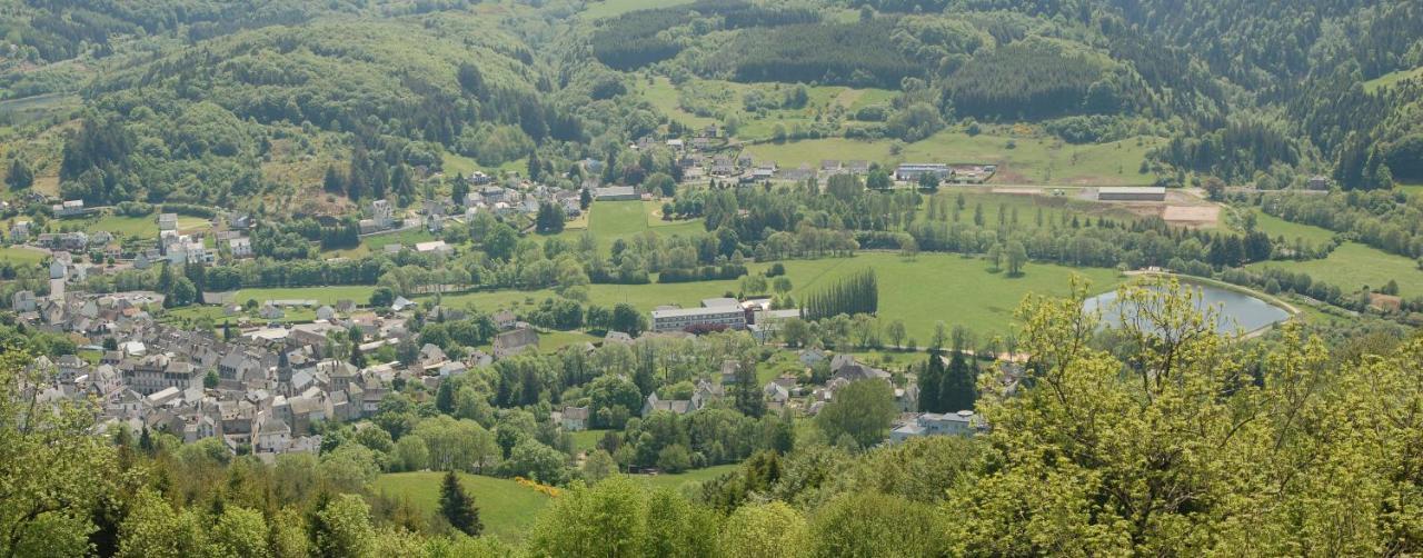 Gite Du Haut Cantal - Appartements Meubles Avec Kitchenette Et Chambres Sans Kitchenette Condat  Dış mekan fotoğraf