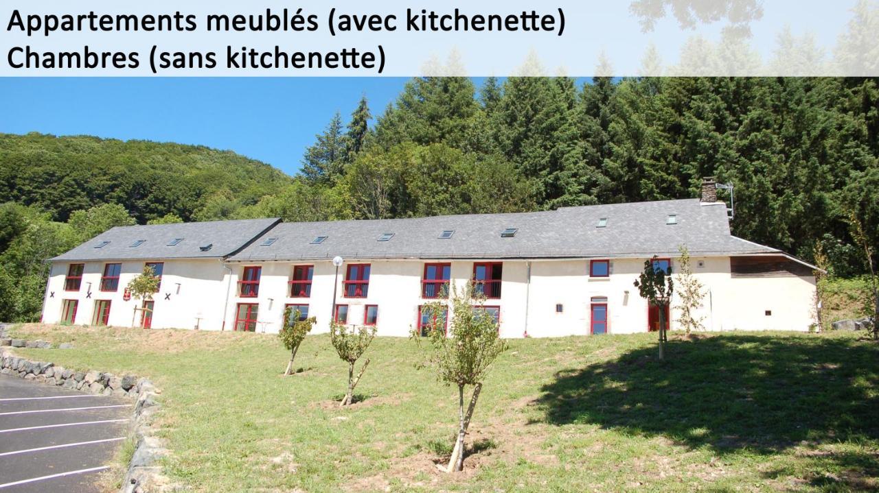 Gite Du Haut Cantal - Appartements Meubles Avec Kitchenette Et Chambres Sans Kitchenette Condat  Dış mekan fotoğraf